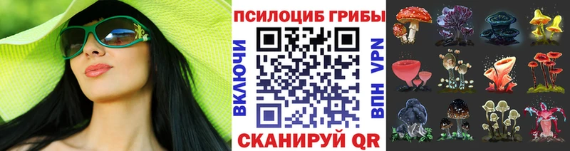 OMG ТОР купить закладку Красный Сулин Галлюциногенные грибы Psilocybe
